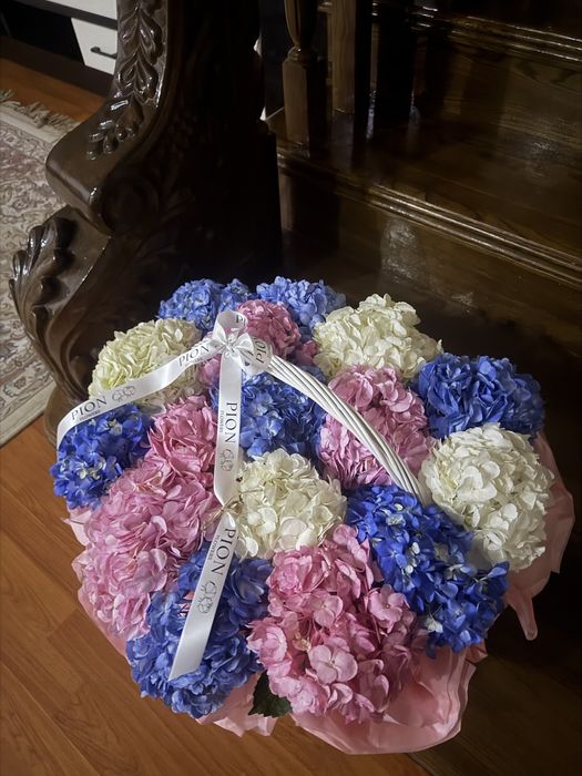 Корзина королевских гортензии 20к