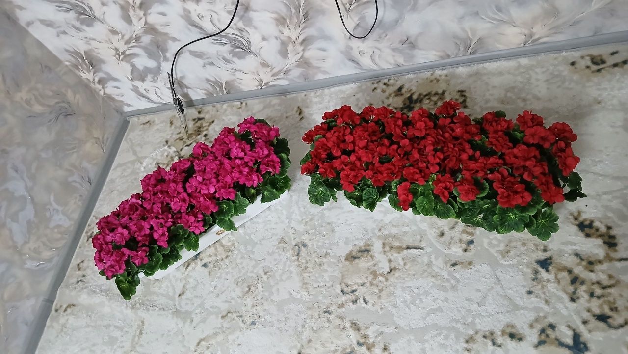 Suniy gullar katta hajimda