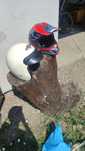 Cross, motocicleta, copii