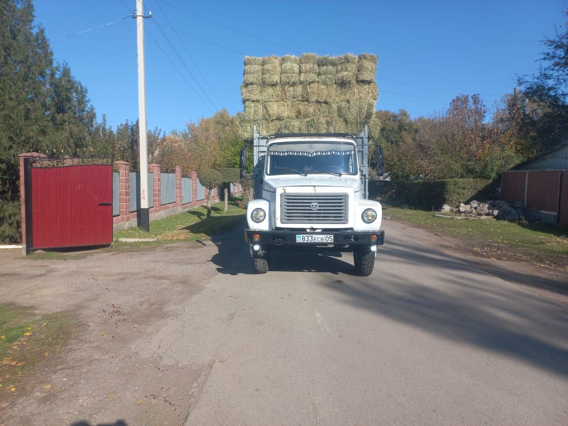 Сено люцерна тюках