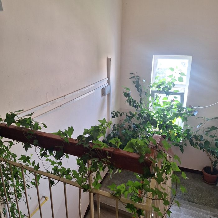 2 camere Trivale confort 1