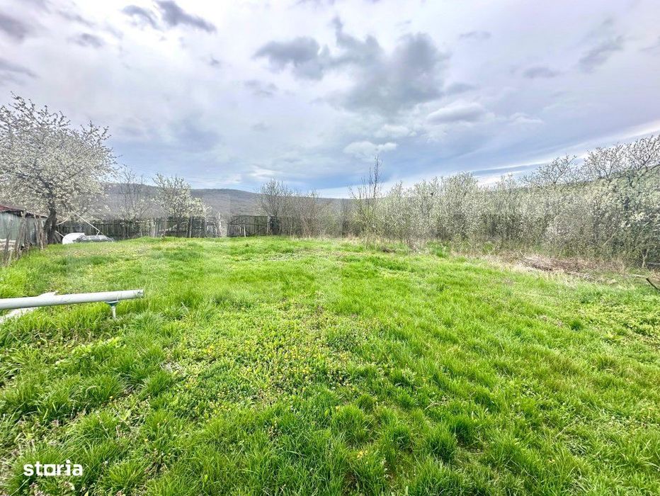 Teren intravilan de vanzare – 728 mp, Oarda de Sus, cu priveliste pa