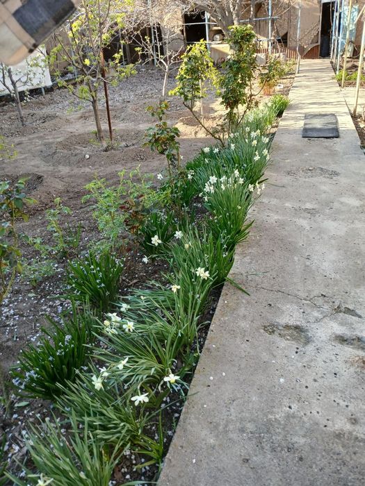 Yer sotiladi Chirchiq sh.