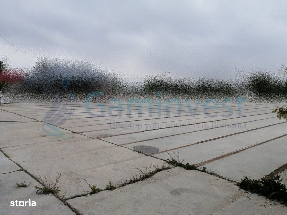 Gaminvest Teren cu platforma betonata si cladire , Bihor, V3474