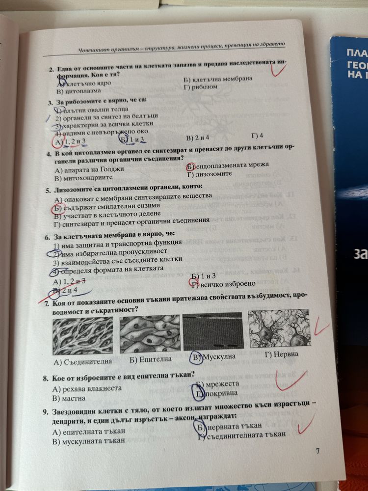 Помагала по физика, география, история и тестове