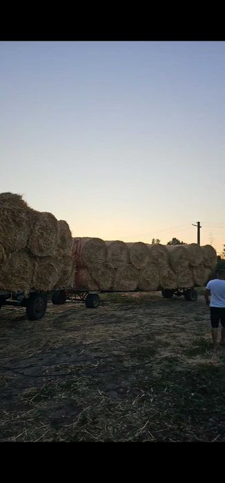 Vand baloti mici si rotunzi