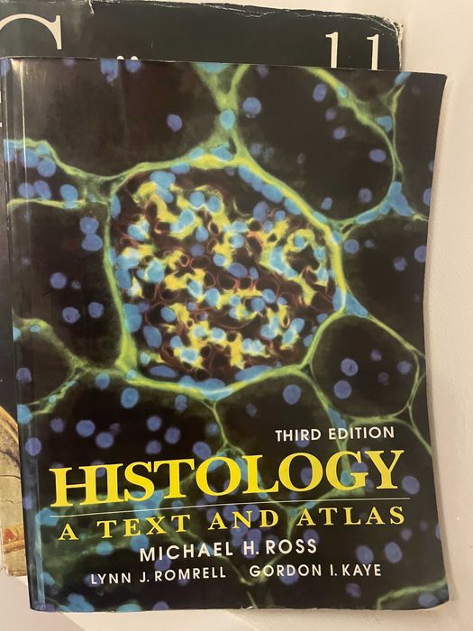 Carte/tratat facultate medicina en neuroanatomie imunologie fiziologie