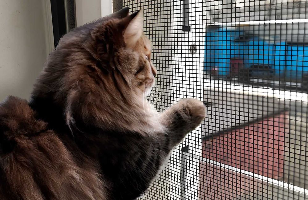 Оконные нано-фильтры Ecofiber | Москитные сетки Антипыль и Антикошка