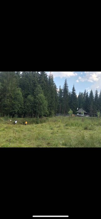 Teren de vis la munte Poiana Negri, lângă  pădure înconjurat de brazi