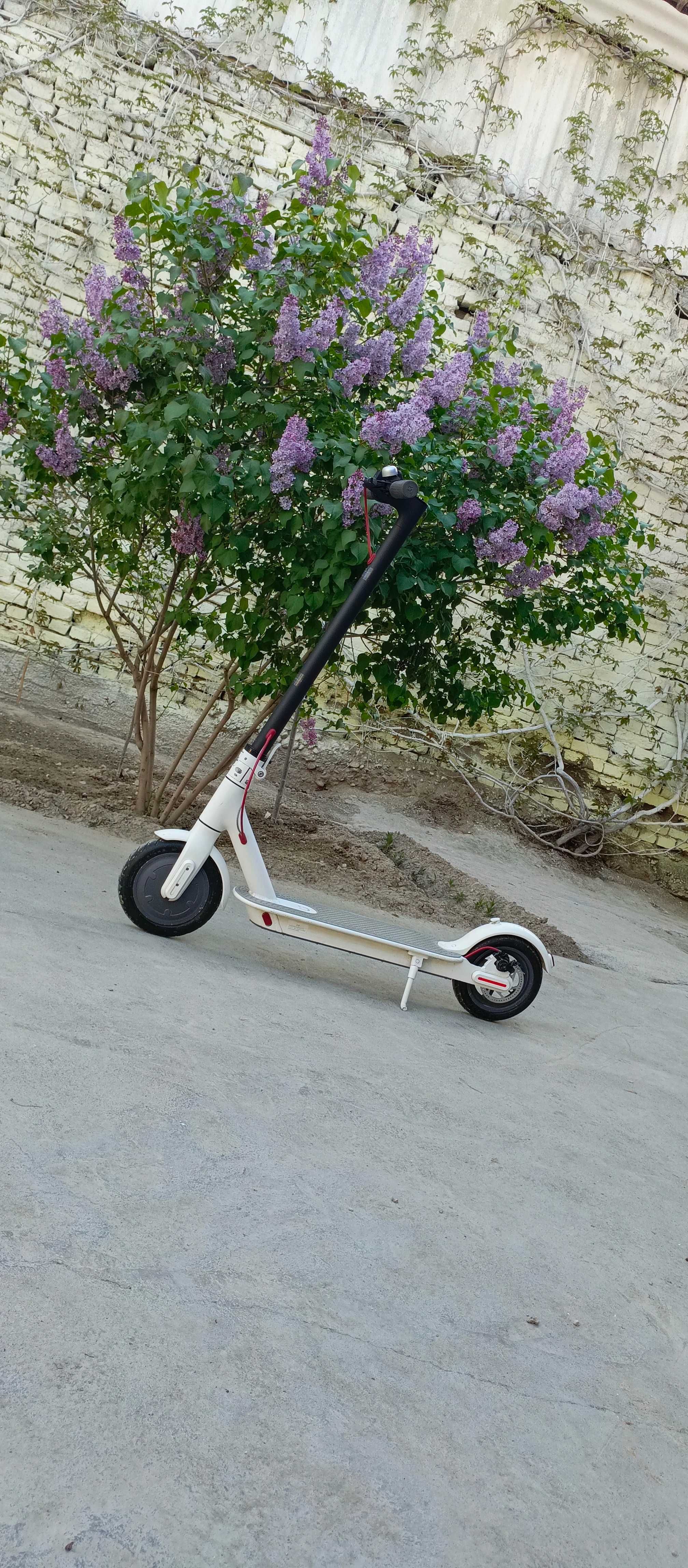 xiaomi mi scooter