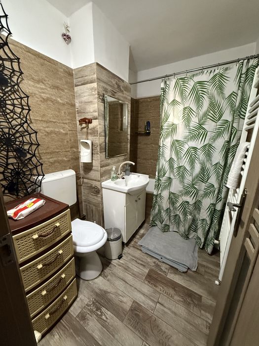 Apartament 2 camere Rovine de inchiriat