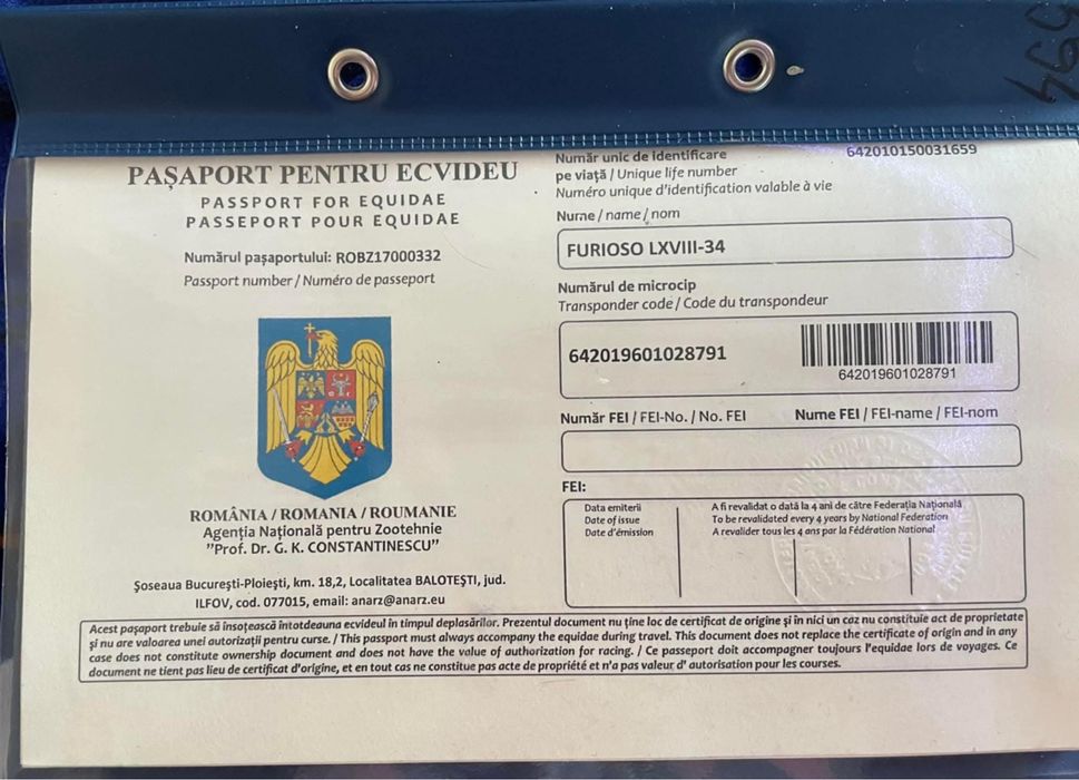 Frizian de vanzare si iapa