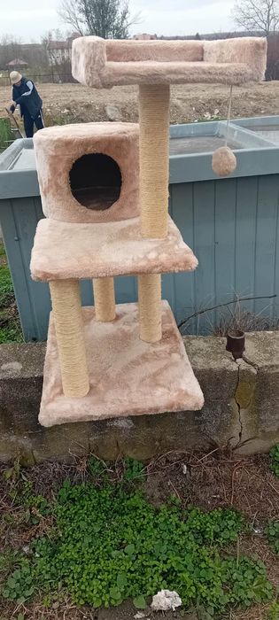 Loc de joaca pentru pisica