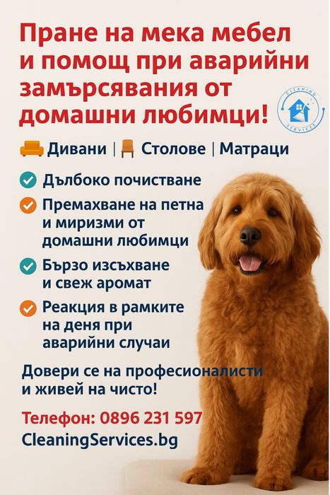 Професионално пране на мека мебел-достъпни цени !