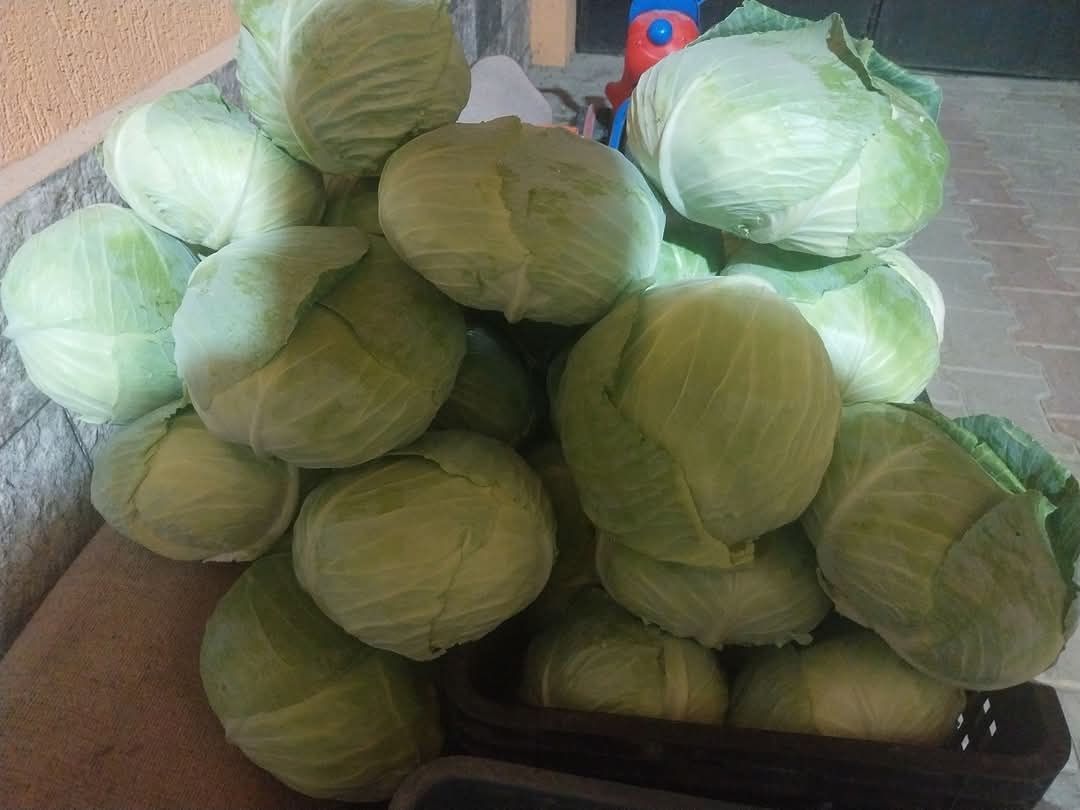 Cartofi albi si roșii