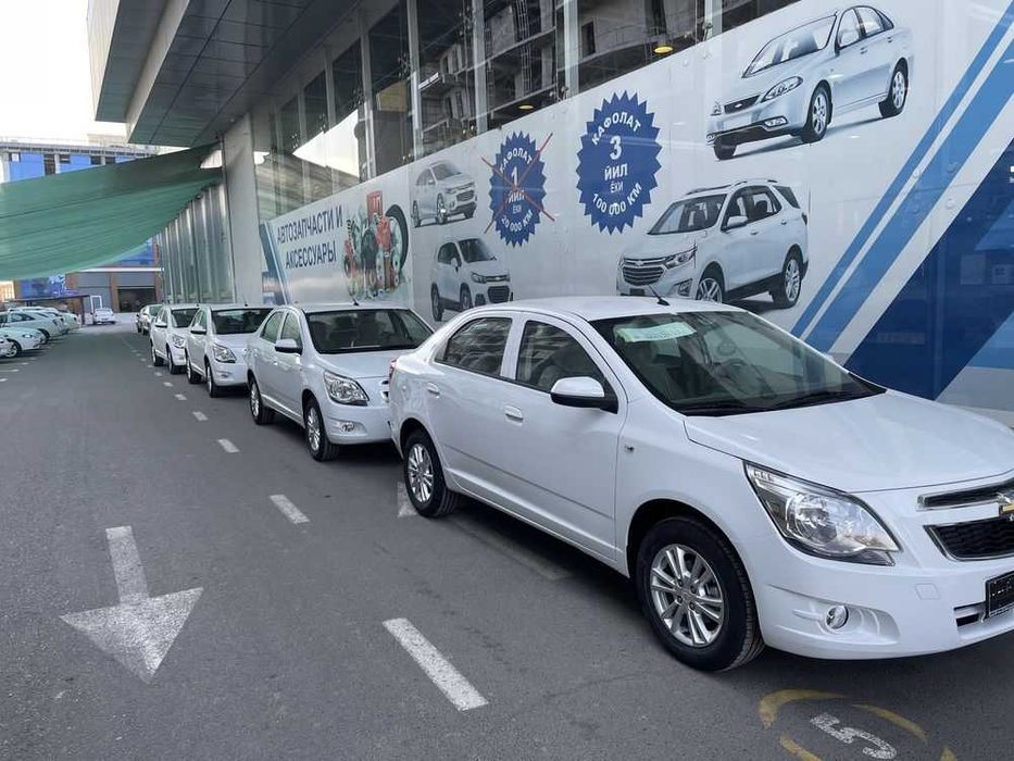 Cobalt 25 STAYL MCM Nataryus Bepul