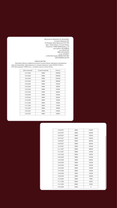 Арест,график,страховка,оптимизация