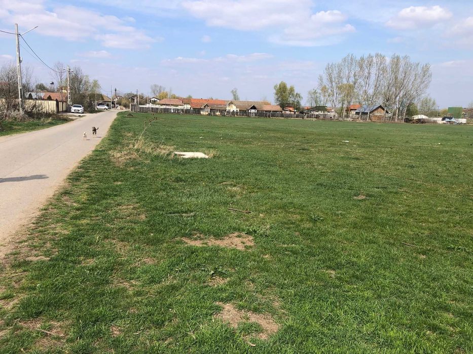 Teren 3000 mp Podari-Livezi