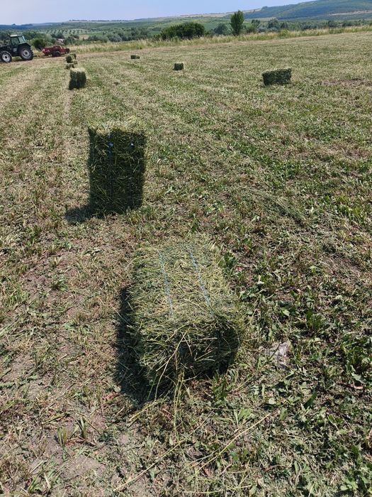 Baloți lucerna coasa 3 și 4