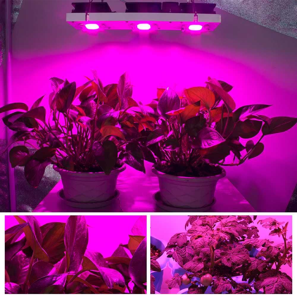 Lampa 250 w led full spectrum crestere plante