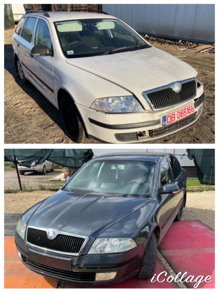 Dezmembrez Skoda Octavia 2 1.9 BXE BJB DSG