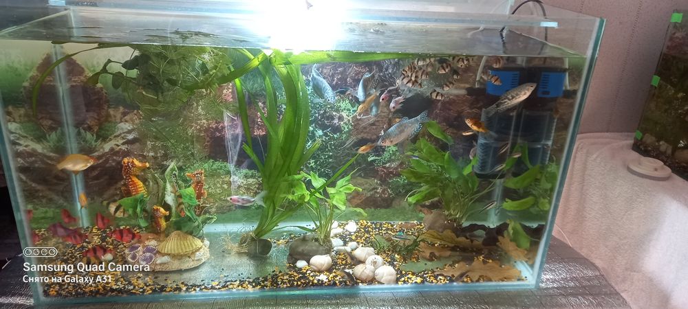 Аквариум на 20. 30.  40 .80  .90 .120.  литров