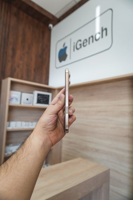 16 Pro Max 256Gb 100% 2Sim Ideal