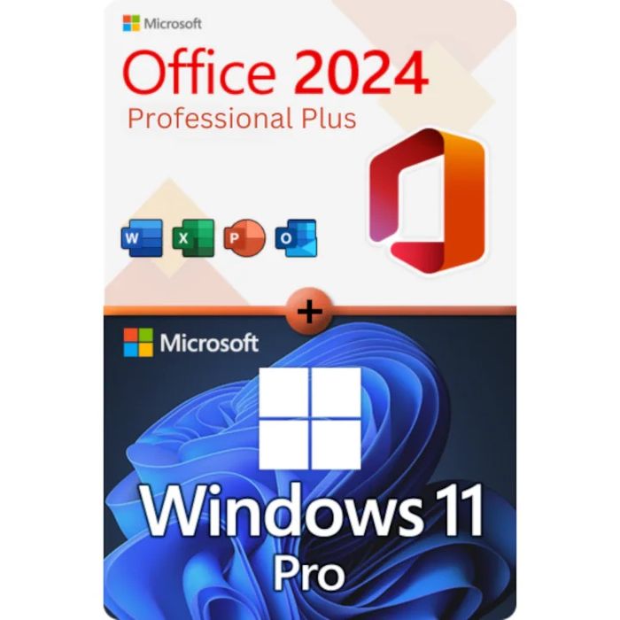 Instalez Windows 10 sau 11 pro Office 2024 pro plus, mentenanta