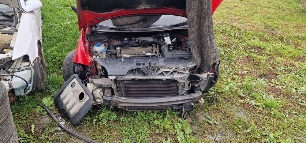 Desmebrez Seat Altea 1.9 tdi