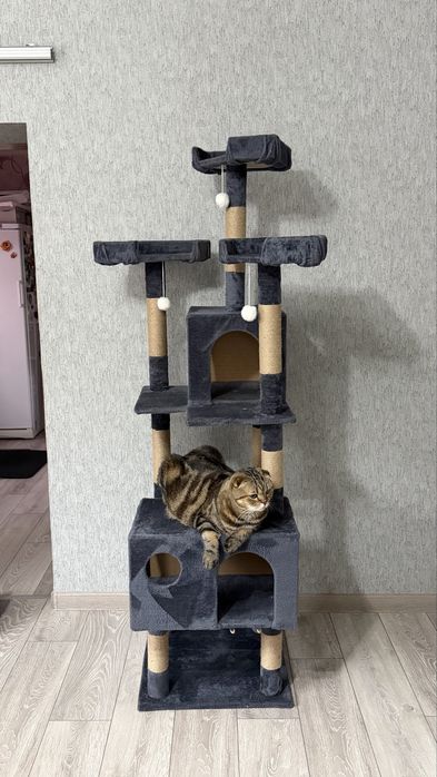 Продам комплекс для кошек бу