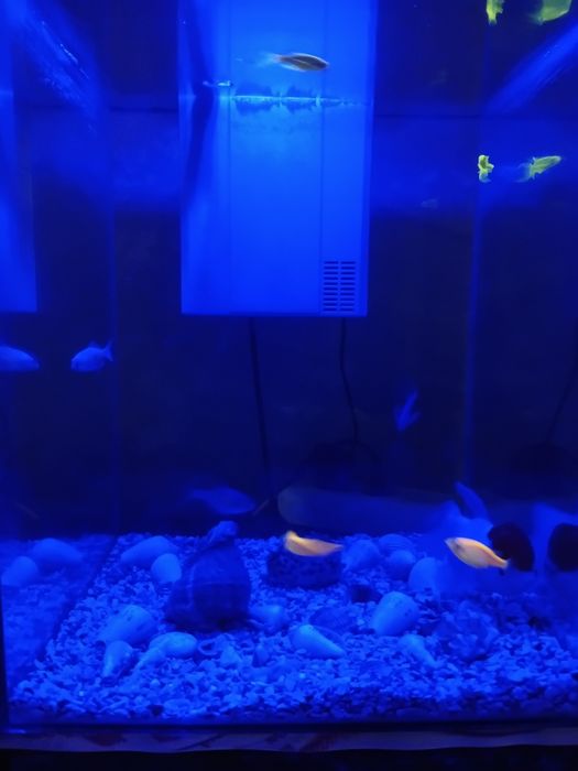 Аквариум 35 литрли