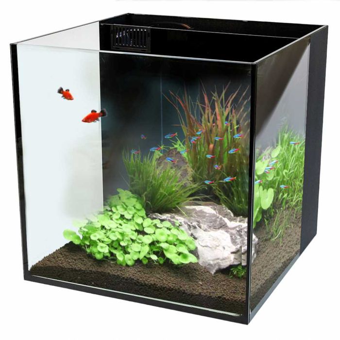 Аквариумы на заказ