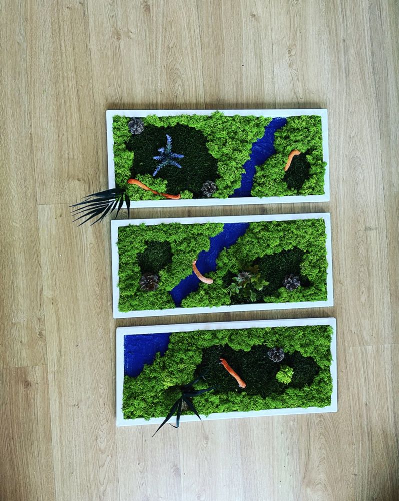 Set tablouri licheni 70x30 cm