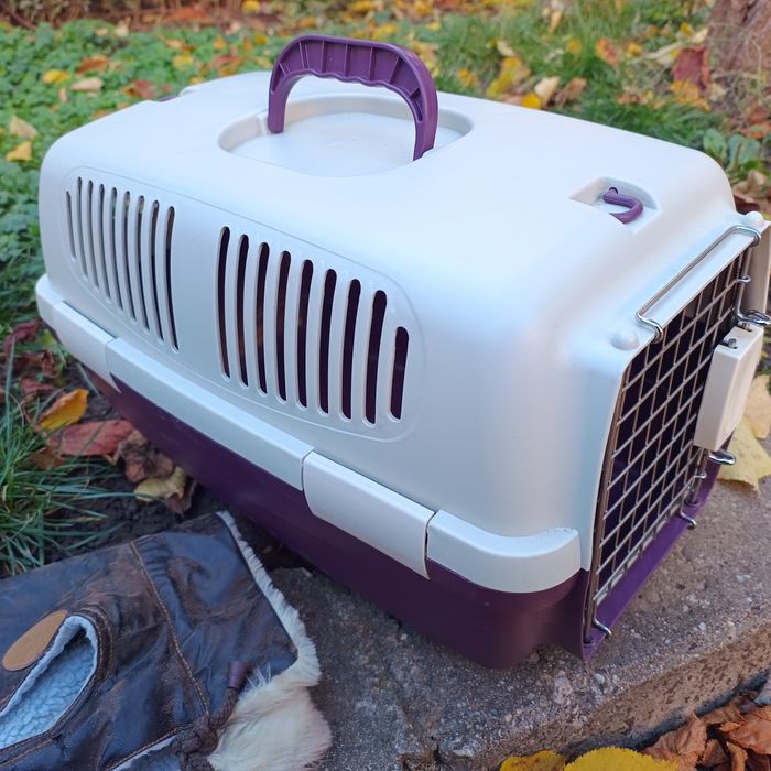 Pachet cusca transport, haine caine talie mica si ham