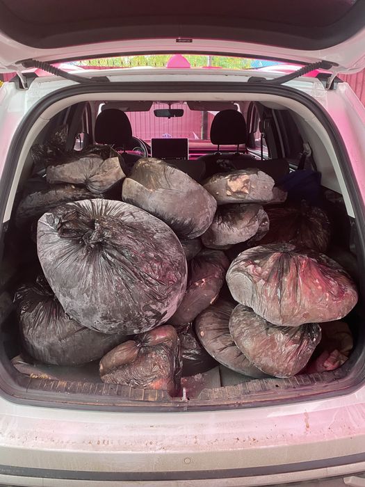 отход сля собак чистый окорочка