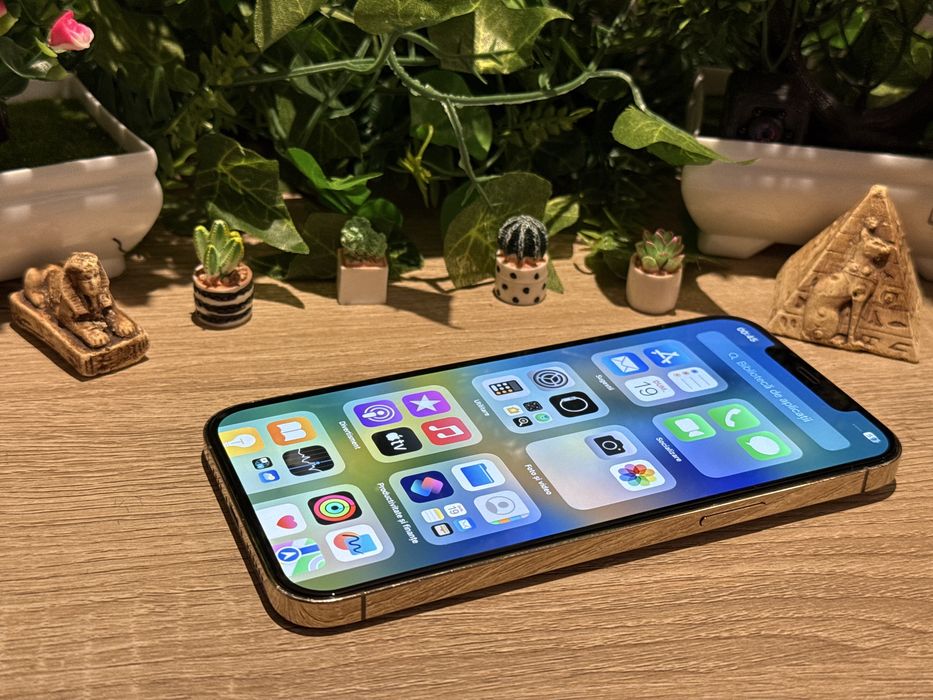 Iphone 12 Pro Max ‼️Garantie‼️