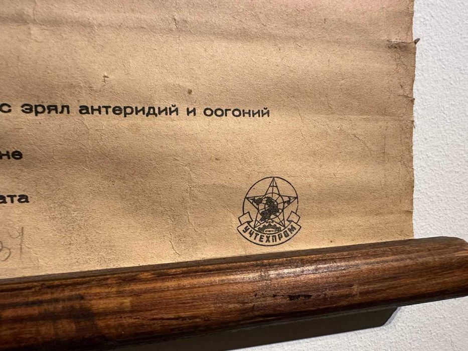 Соц Учебни Плакати Постери Ботаника