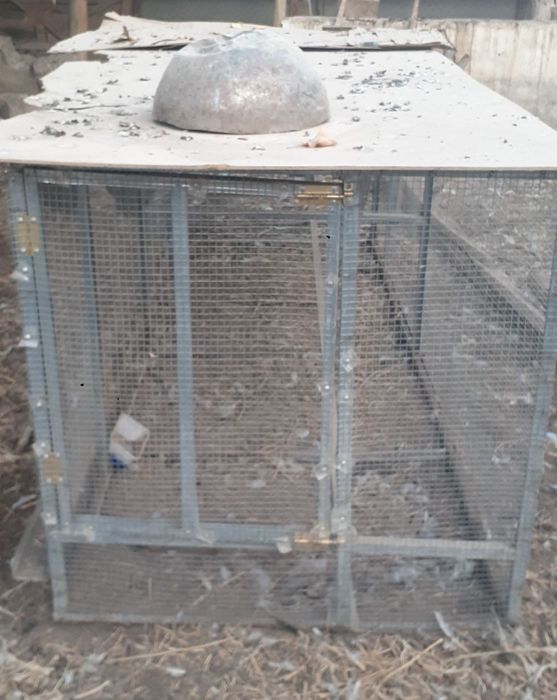 Tovuq qafasi razmeri 1*1*3 metr