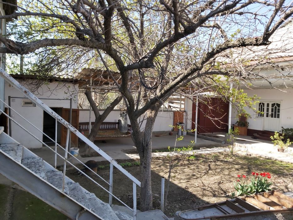 Ҳовли уй катта бозор маҳалласида сотилади