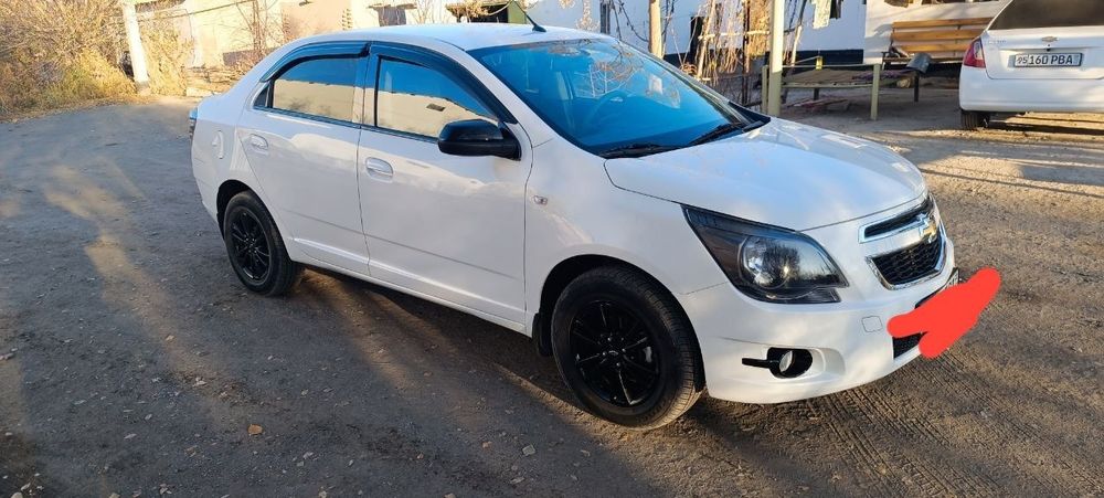 Кобллт миднайт жылы 2025 фулл хамме зат салинган