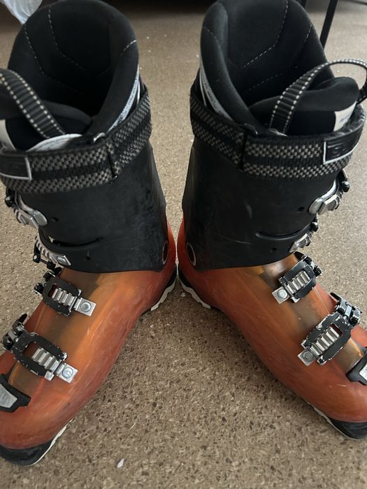 Clapari solomon 28 cm / 44