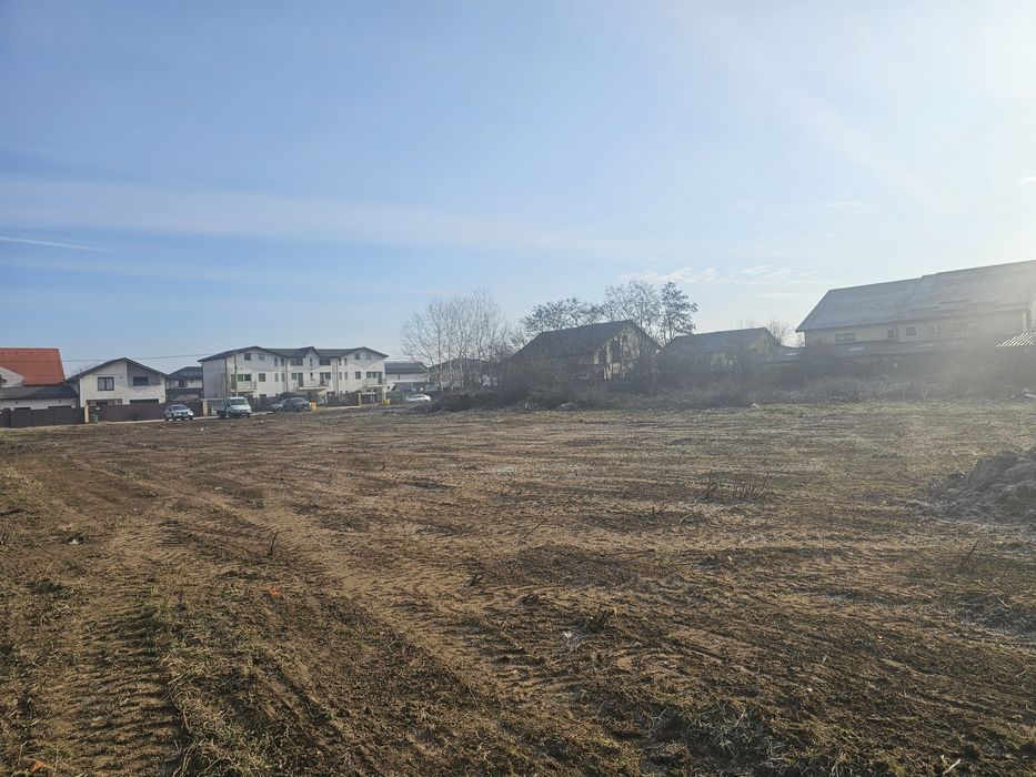 Defrișare / Curățare loc / Demolări.