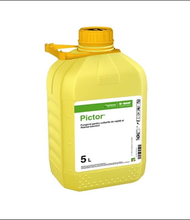 Fungicid Pictor 5 Litri