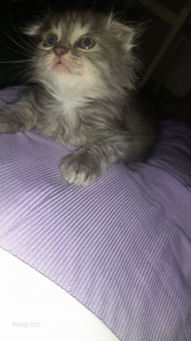 Вы придёте и посмотрите на него если не понравится не берите