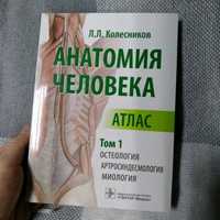 Анатомия человека книга кости и мышцы
