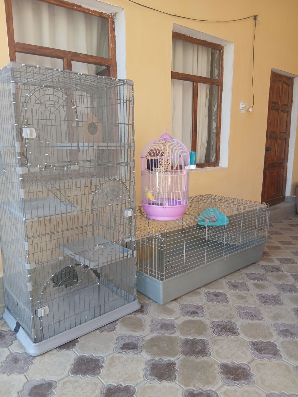 Qapas boyi 1,5 metir keyin quyoniyam uy bor