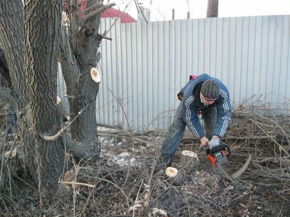 Спилка деревьев Выкарчовка пней
