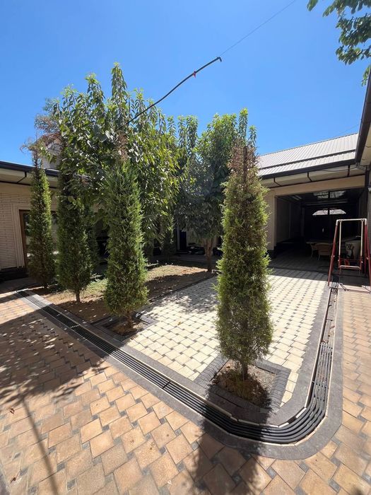 Arendaga hovli chilonzorda