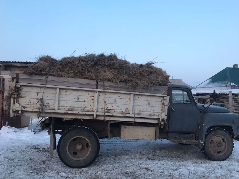 Күзгі көк шөп сатылады