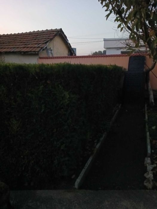 Продавам туя смарагда